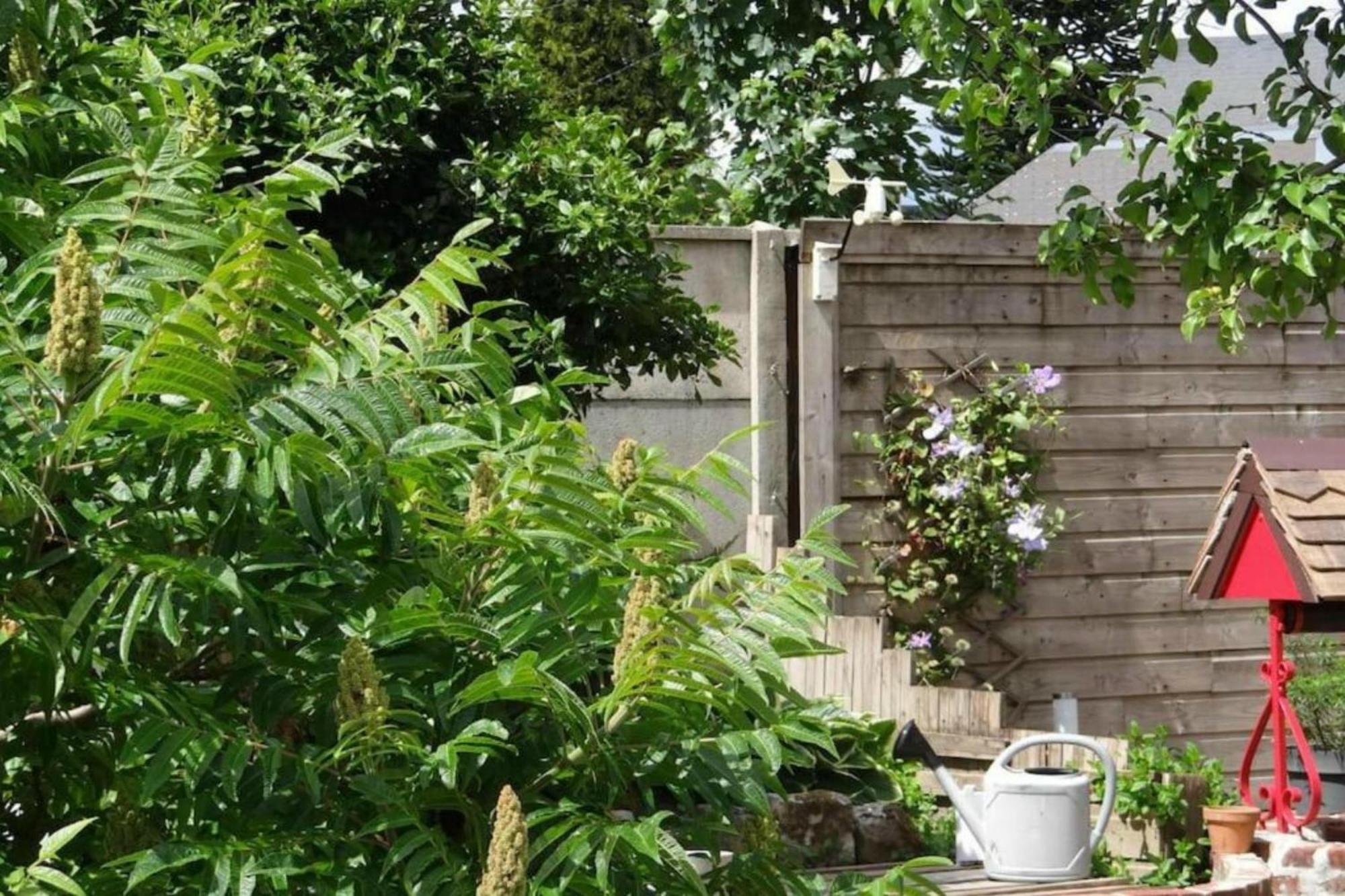 Clos Des Paquerettes : Maison Avec Jardin Privatif 伊沃托 外观 照片